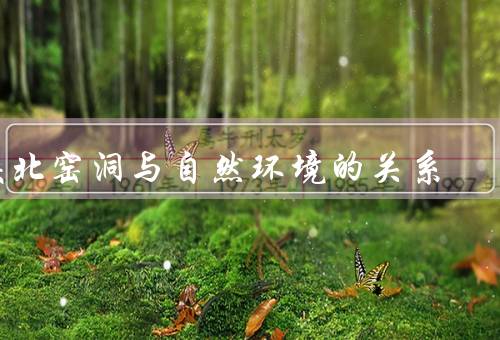陕北窑洞与自然环境的关系
